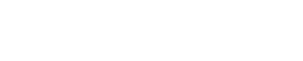 Unterschrift Max Schildt